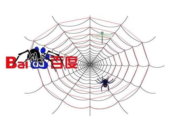 search engine spider